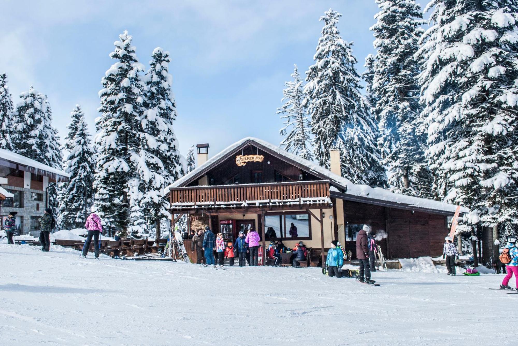 Alpine Ski Chalet Borovets With Sauna 빌라 외부 사진