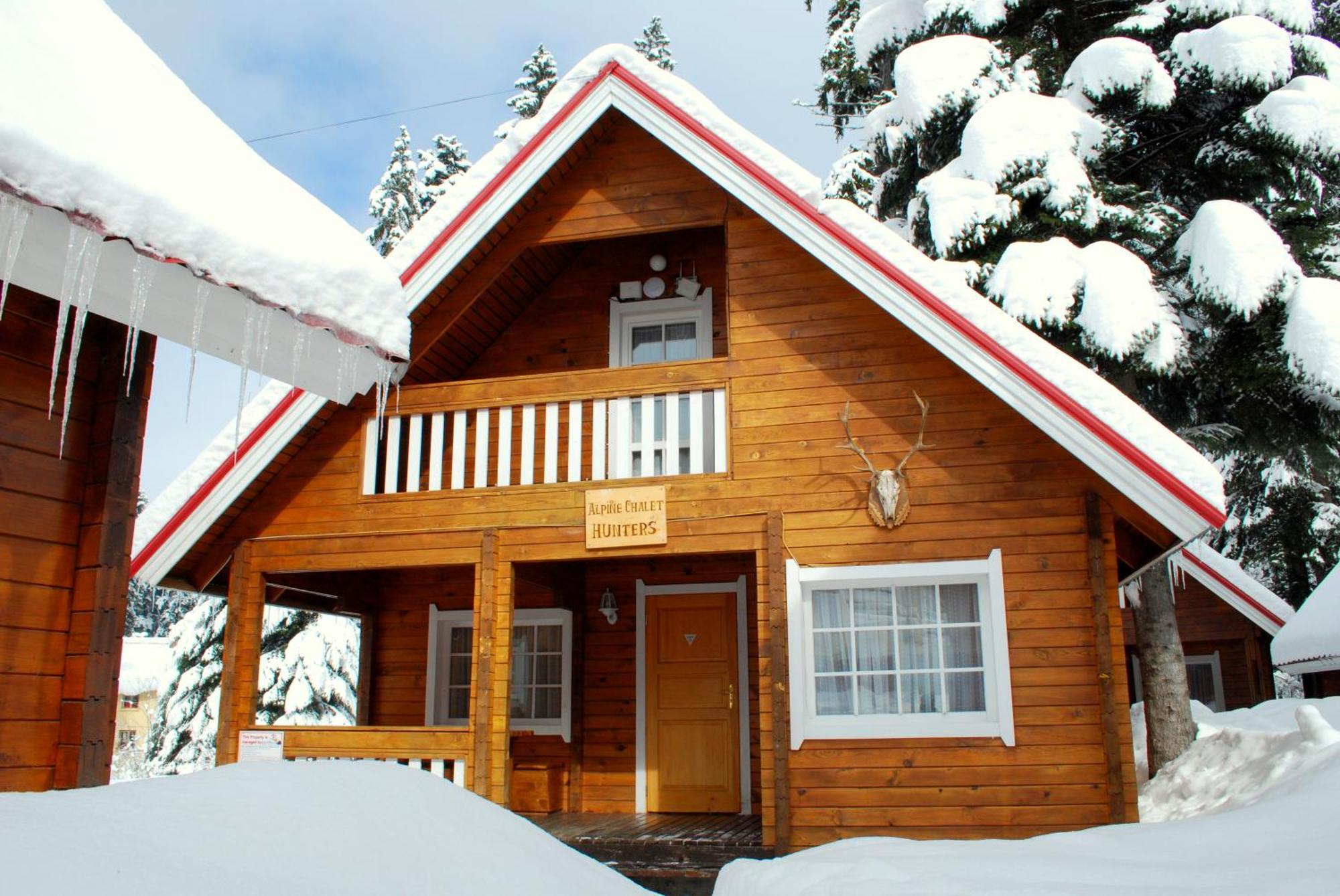 Alpine Ski Chalet Borovets With Sauna 외부 사진