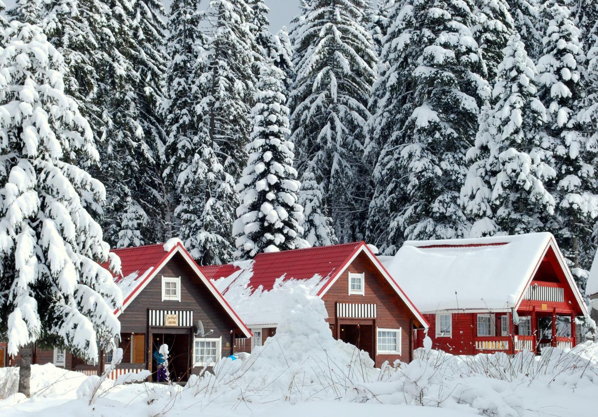 Alpine Ski Chalet Borovets With Sauna 외부 사진
