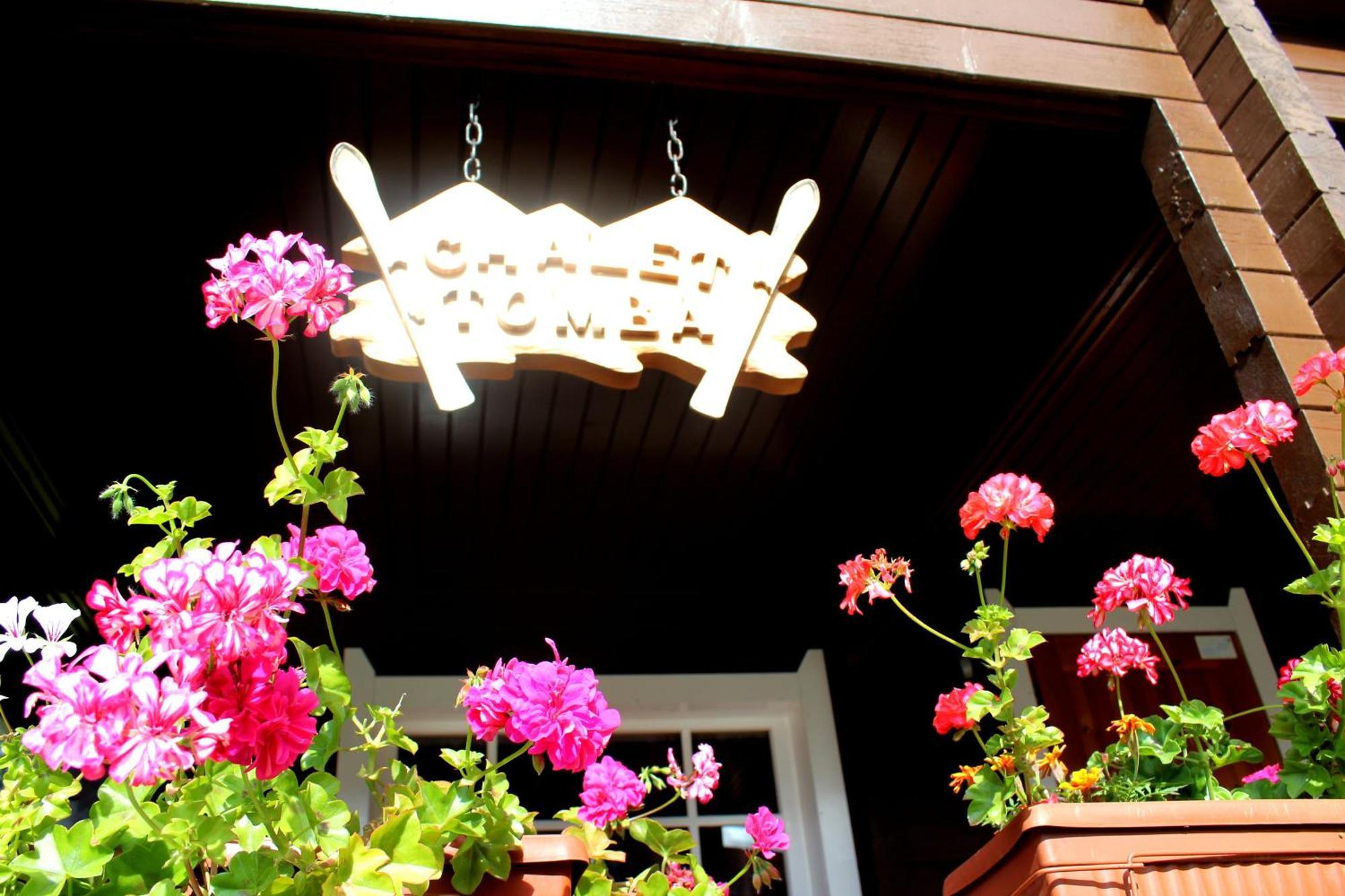 Alpine Ski Chalet Borovets With Sauna 외부 사진