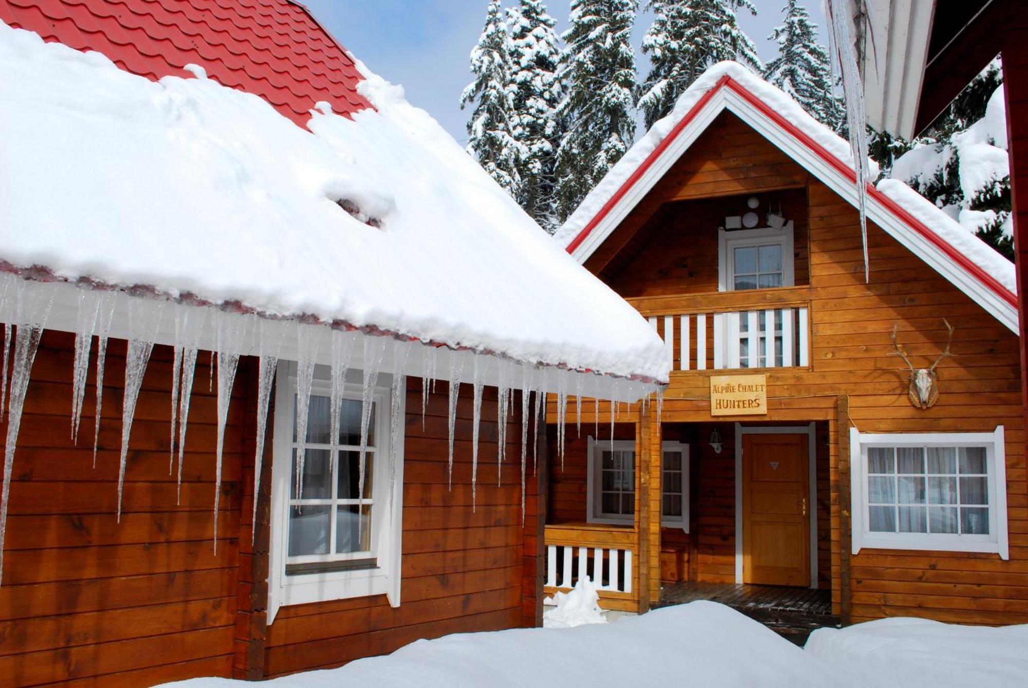 Alpine Ski Chalet Borovets With Sauna 객실 사진